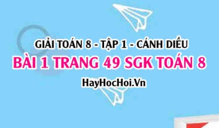 Giải bài 1 trang 49 Toán 8 Tập 1 SGK Cánh Diều